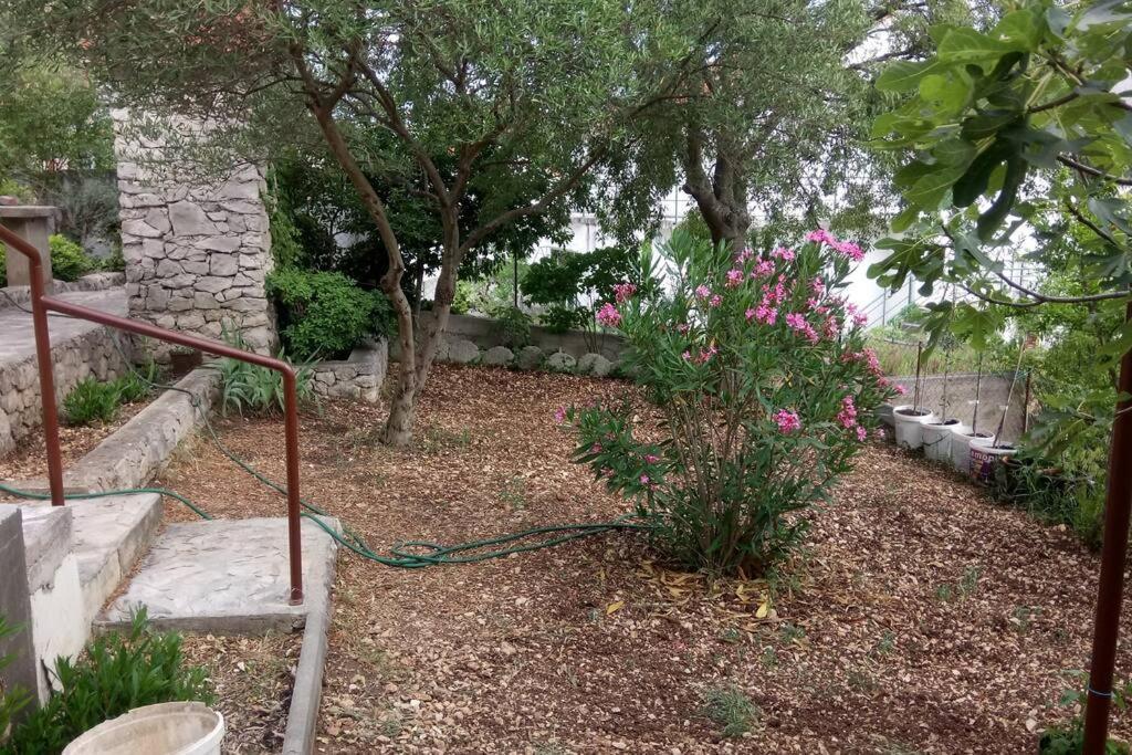 Ferienhaus Am Wasser - Kuca Rio - Iberische Finca In Dalmatien Bilice Exterior photo
